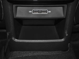 2018330TSI DSGA (gu)V g