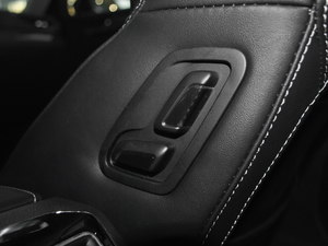 2018330TSI DSGA (gu)V g