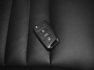 2018330TSI DSGA V ܇耳