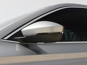 2018330TSI DSGm V (ji)^