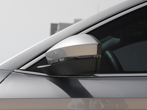 2018330TSI DSGm V (ji)^