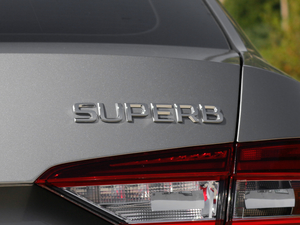 2018330TSI DSGm V (ji)^