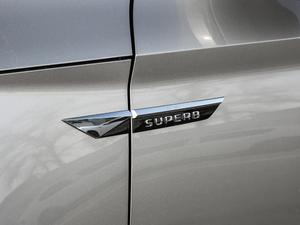 2018280TSI DSGm V (ji)^