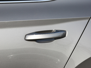 2018280TSI DSGm V (ji)^