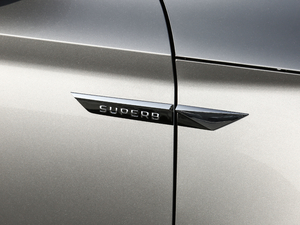 2018280TSI DSGm V (ji)^