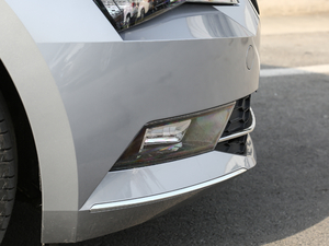 2018280TSI DSGm V (ji)^