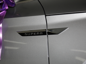 2018330TSI DSGA (gu)V (x)(ji)^