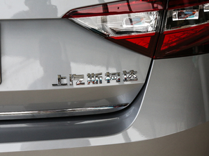 2018330TSI DSGA V (ji)^