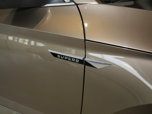 2018280TSI DSGm V (ji)^