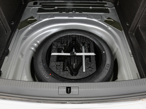 2018330TSI DSGm (gu)VI ̥