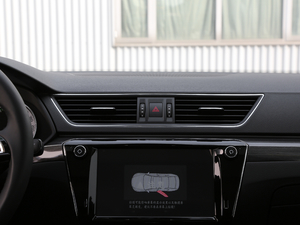 2018330TSI DSGA VI {L