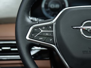 2020��1.6TGDI �Ԅ�(d��ng)��Ş�� �п؅^(q��)