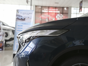 2020��1.6TGDI �ԄӺ��A�� �������^