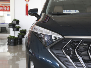 2020��1.6TGDI �ԄӺ��A�� �������^