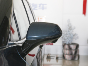 2020款1.6TGDI 自动豪华型 后视镜
