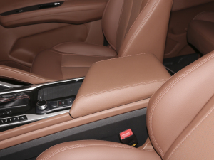 2020��1.6TGDI �Ԅ�(d��ng)���A�� ���������