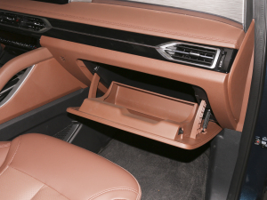 2020��1.6TGDI �Ԅ�(d��ng)���A�� ������