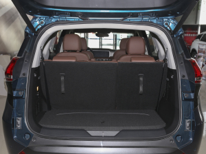 2020��1.6TGDI �Ԅ�(d��ng)���A�� ��������g