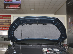 2020款1.6TGDI 自动豪华型 其它