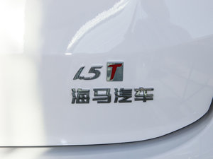 2017款1.5T 手动适·悦型 7座 细节外观