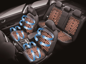 2019Pro 1.6T DCTA V g