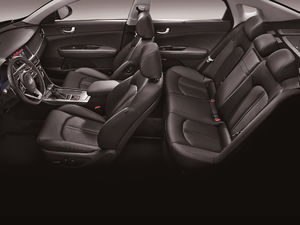 2019Pro 1.6T DCTA V g