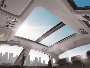 2019Pro 1.6T DCTA V g