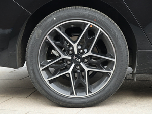 2019款Pro 1.6T DCT豪华版 国V 轮圈