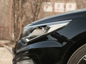 2019Pro 1.6T DCTA V ^