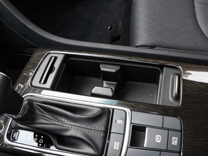 2019Pro 1.6T DCTA V g