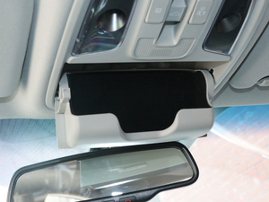 2019Pro 1.6T DCTA V g