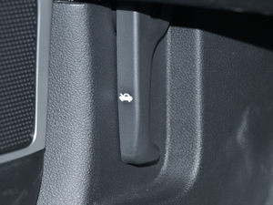 2019Pro 1.6T DCTA V g