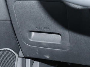 2019Pro 1.6T DCTA V g