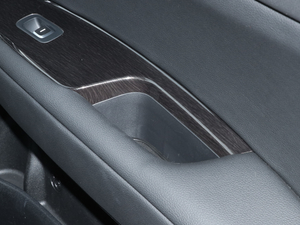 2019Pro 1.6T DCTA V g