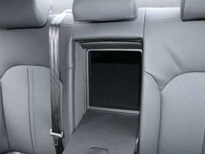 2019Pro 1.6T DCTA V g