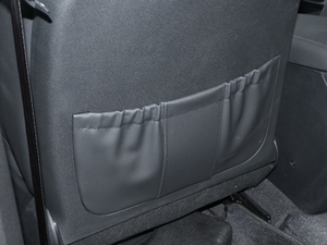 2019Pro 1.6T DCTA V g