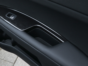 2019Pro 1.6T DCTA V g