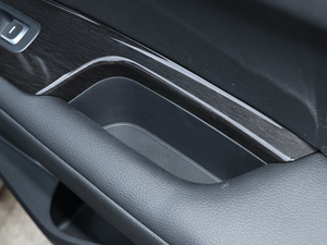 2019Pro 1.6T DCTA V g