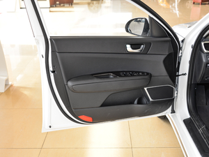 2019Pro 2.0L Ԅ(dng)A V g