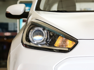 2019(bio)(zhn) (x)(ji)^