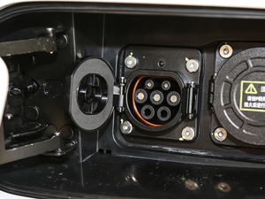 2019(bio)(zhn) (x)(ji)^