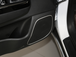 2019��2.0L �Ԅ�(d��ng)���(q��)���m�� ���g����