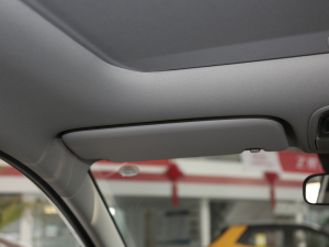 2019��2.0L �ԄӃ�����m�� ���g����