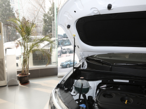 20192.0L Ԅ(dng)(q)m 