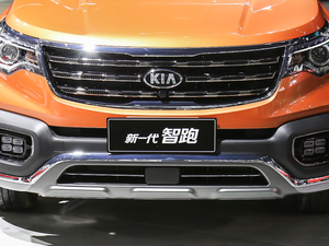 2019款1.4T 自动智享互联版GLS 中网