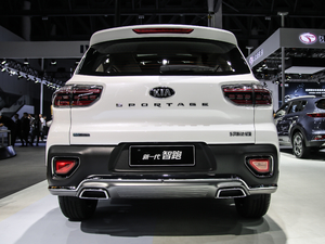 2019款2.0L 自动智享豪华版 正后	
