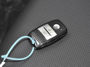 20211.4L CVTȤ촰 ܇耳