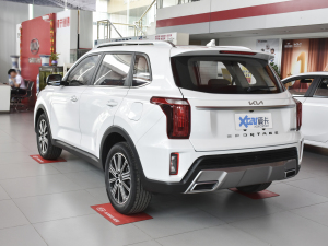 2021款Ace 2.0L 精彩版 左后45度