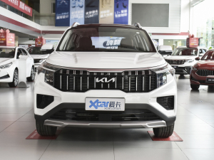 2021款Ace 2.0L 精彩版 正前