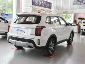 2021款Ace 2.0L 精彩版 整体外观